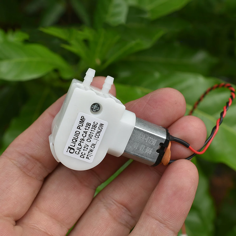 Pompa Dosatrice Peristaltica C - Mini Peristaltic Pump 12V recensione e prezzo