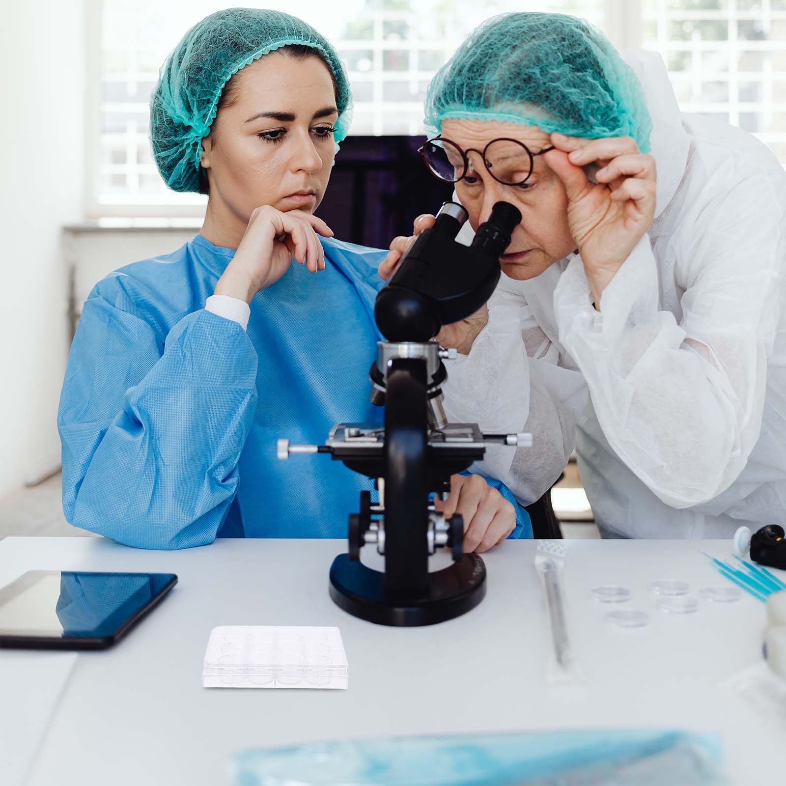 Piastra per colture cellulari  - Lab Equipment recensione e prezzo