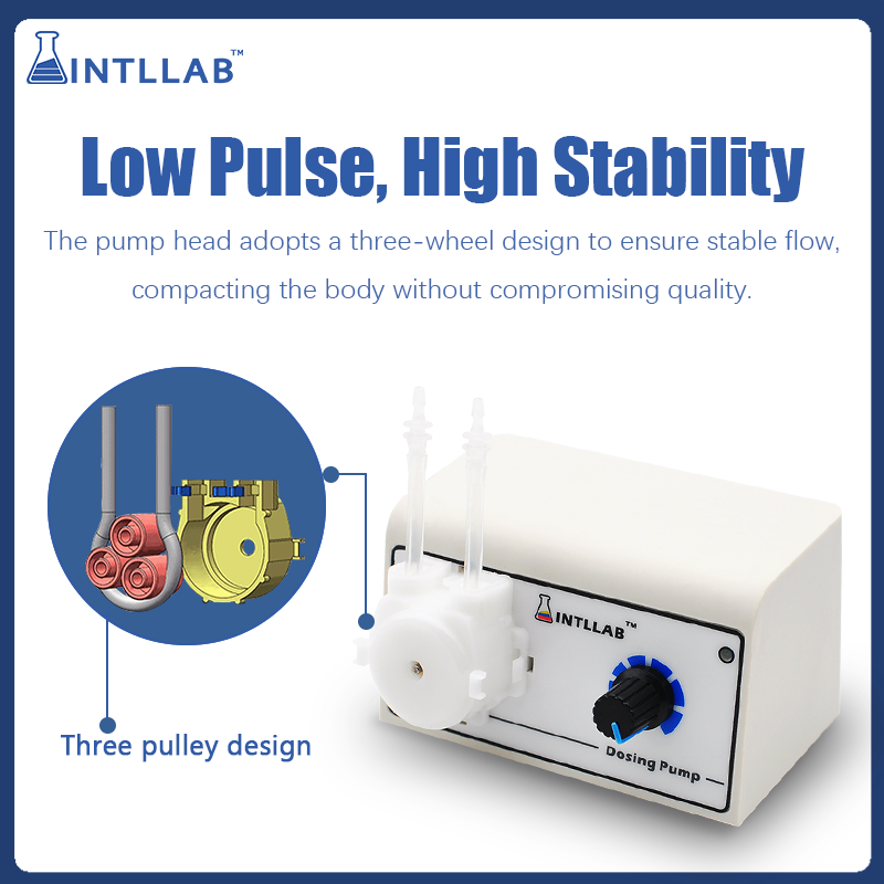 Pompa peristaltica programmabi - Mini Peristaltic Pump 12V recensione e prezzo