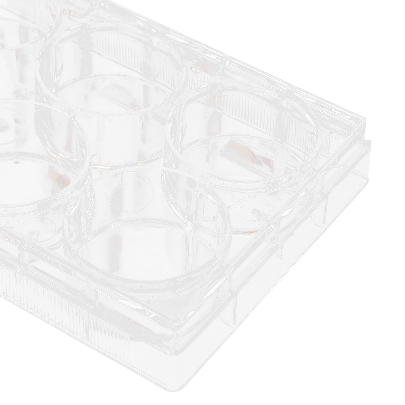 Piastra per colture cellulari  - Lab Equipment recensione e prezzo